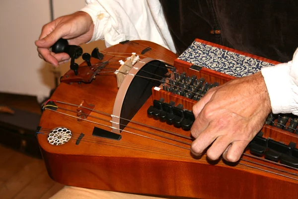 Types Of Hurdy Gurdy